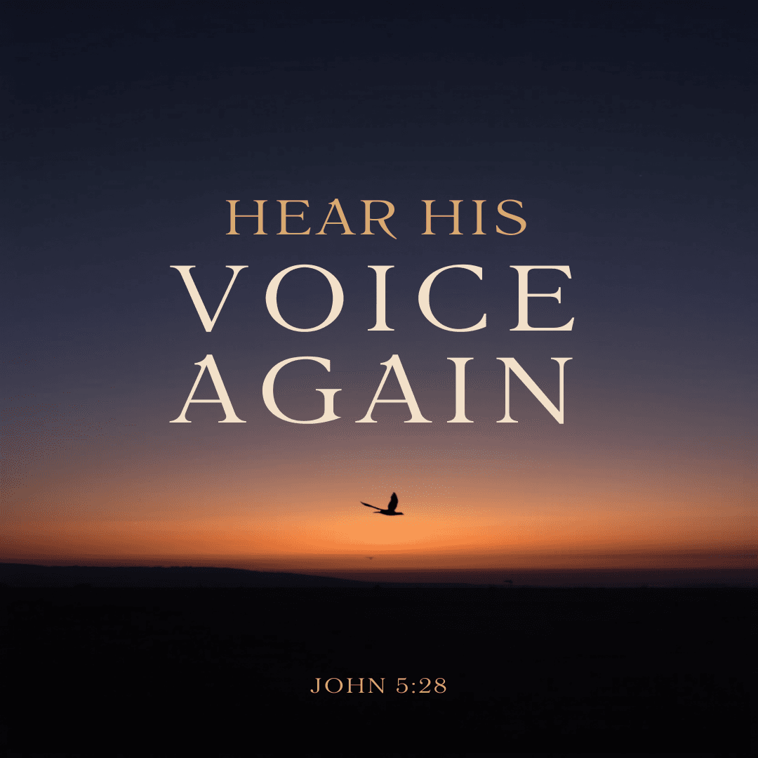 Hear His Voice Again
